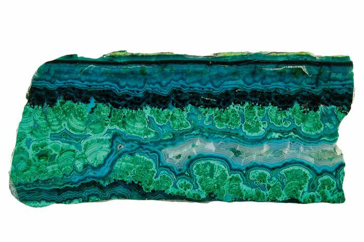 Brilliant Chrysocolla and Malachite Slice - Bagdad Mine, Arizona #383759